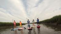 Charleston Paddleboard Rentals