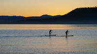 Charleston Sunset Stand up Paddleboard Tour