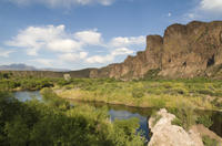 Salt River Kayak Adventure from Scottsdale