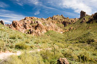 Self-Drive Twilight Tour through the Sonoran Desert