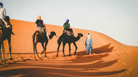 Sunset Camel Ride in the Merzouga Dunes