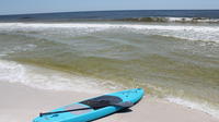 Stand Up Paddle Board Rental in Panama City Beach