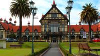 Shore Excursion: Rotorua Sightseeing Tour from Tauranga