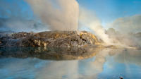 Tauranga Shore Excursion: Rotorua Geothermal Wonders