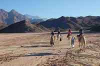 Bedouin BBQ in the Egyptian Desert by 4x4