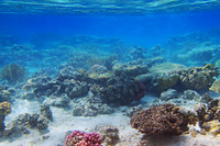 Croisière et plongée libre à l'île de Tiran