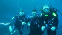 2-Dive Tour in Catalina Islands 