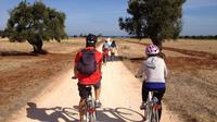 Puglia Bike Tour: Cycling Through the History of Extra Virgin Olive Oil