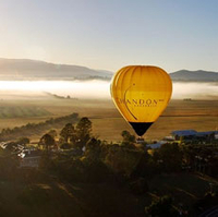 Vol en montgolfière au-dessus de la vallée de Yarra et visiter des vignobles