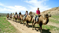 One-day tour of Shuidonggou Scenic Area, Hui Ethnic Minority Customs and Culture Park, and XiXia-style Garden