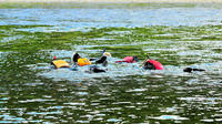 Snorkeling, Hiking and Paddling Combo Package in Matapedia River