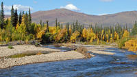 Chena River Guided Fishing Tour