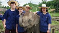 Half-Day Lanna Kingdom Elephant Sanctuary Tour in Chiang Mai