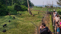 Ngamba Island Chimpanzee Sanctuary in Uganda