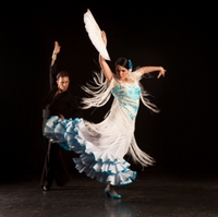 Visite guidée pédestre de Barcelone with tapas et spectacle Arrêts de flamenco