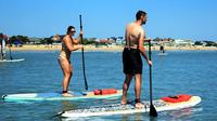 Dolphin Stand Up Paddleboard Down-Wind Eco-Tour