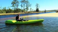 Kayak Eco-Tour of First Landing State Park