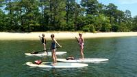 Stand Up Paddleboard Eco-Tour of First Landing State Park