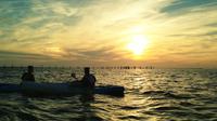 Sunset Dolphin Kayak Tours