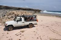 National Park-jeepsafari National Park-jeepsafari