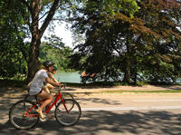 Small-Group Central Park Bike Tour