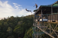 Saut à l'élastique et tyrolienne Minjin Swing à Cairns image 1 Saut à l'élastique et tyrolienne Minjin Swing à Cairns image 1