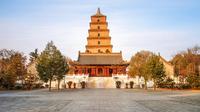 Private Tour: Terracotta Warriors, Shaanxi History Museum, and Big Wild Goose Pagoda