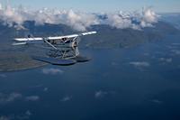 Sightseeing Flight of Ketchikan Alps and Crab Feast