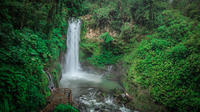 Excursión combinada: Volcán Poas, Doka Estate y Jardines de la Catarata La Paz Excursión combinada: Volcán Poas, Doka Estate y Jardines de la Catarata La Paz
