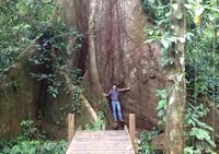 Reserva de la selva tropical Cinco Ceibas y parque de aventuras de San José Reserva de la selva tropical Cinco Ceibas y parque de aventuras de San José
