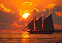 Croisière au coucher du soleil with champagne