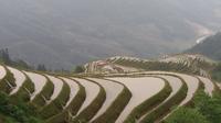 One Day Bus Tour of Rice Terrace and Ethnic Minority Village