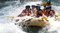 Whitewater Rafting on Toby Creek