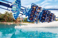 Orlando Attractions Roundtrip Transfer