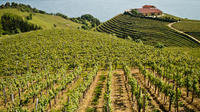 Basque Cheese and Wine Day Trip from San Sebastian 