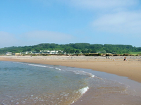 Excursion Dans les champs de bataille de Normandie - Sites Américains