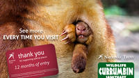 Currumbin Wildlife Sanctuary: 12 Month Membership