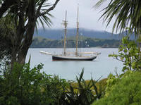 Bay of Islands Tall Ship Sailing on 'R. Tucker Thompson' Including BBQ Lunch