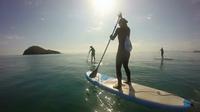 Cairns Double Island Stand Up Paddleboard Tour