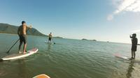 Cairns Ocean Stand Up Paddleboard Tour