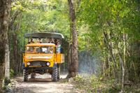 Recorrido por la selva de Cancún: Tulum, buceo de superficie en Cenote, paseo en 4x4 y tirolina Recorrido por la selva de Cancún: Tulum, buceo de superficie en Cenote, paseo en 4x4 y tirolina