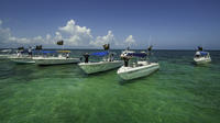 Snorkeling Adventure with Lunch