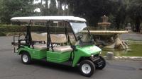 Welcome to Rome: From the Colosseum to the Pantheon by Electric Golf Car
