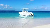 Buck Island Private Charter from St Croix