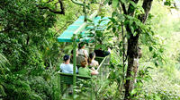 Aerial Tram Tour in Gamboa