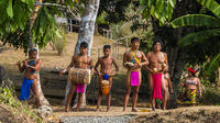 Embera Indigenous Community Tour From Panama City