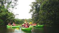 Kayak Tours at Gamboa