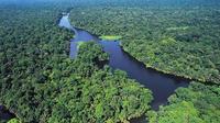 Tortuguero National Park  One Day Tour