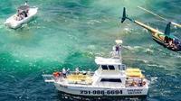 Alabama Gulf Coast Dolphin Cruise