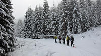 The Black Peak - Vitosha Mountain Snowshoeing Day Tour from Sofia image 1 The Black Peak - Vitosha Mountain Snowshoeing Day Tour from Sofia image 1
